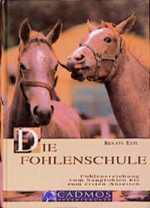 Die Fohlenschule