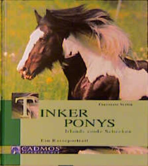 Tinker Ponys: Irlands coole Schecken