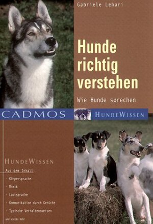 Hunde richtig verstehen: Wie Hunde sprechen