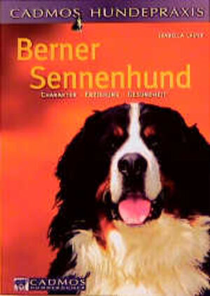 Berner Sennenhund. Charakter, Erziehung, Gesundheit