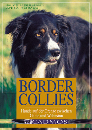 Border Collies: Hunde auf der Grenze zwischen Genie und Wahnsinn