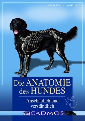 Buchcover Die Anatomie des Hundes | Kerstin Mielke | EAN 9783861277934 | ISBN 3-86127-793-X | ISBN 978-3-86127-793-4