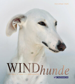 Buchcover Windhunde | Dorothee Dahl | EAN 9783861277989 | ISBN 3-86127-798-0 | ISBN 978-3-86127-798-9