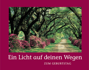 Buchcover Ein Licht auf deinen Wegen | EAN 9783861740933 | ISBN 3-86174-093-1 | ISBN 978-3-86174-093-3