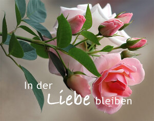 Buchcover In der Liebe bleiben  | EAN 9783861740964 | ISBN 3-86174-096-6 | ISBN 978-3-86174-096-4
