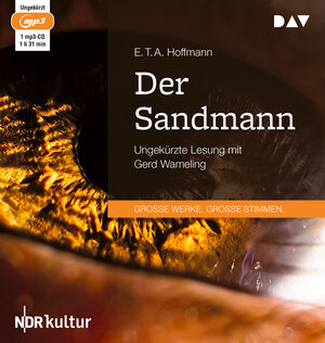 Buchcover Der Sandmann | E. T. A. Hoffmann | EAN 9783862315574 | ISBN 3-86231-557-6 | ISBN 978-3-86231-557-4