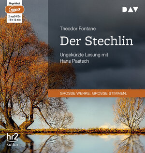 Buchcover Der Stechlin | Theodor Fontane | EAN 9783862317271 | ISBN 3-86231-727-7 | ISBN 978-3-86231-727-1