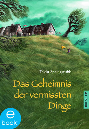 Buchcover Das Geheimnis der vermissten Dinge | Tricia Springstubb | EAN 9783862727650 | ISBN 3-86272-765-3 | ISBN 978-3-86272-765-0