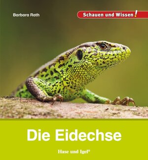 Buchcover Die Eidechse | Barbara Rath | EAN 9783863163693 | ISBN 3-86316-369-9 | ISBN 978-3-86316-369-3