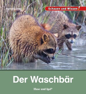 Buchcover Der Waschbär | Barbara Rath | EAN 9783863164287 | ISBN 3-86316-428-8 | ISBN 978-3-86316-428-7