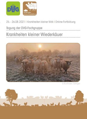 Buchcover Tagung der DVG-Fachgruppe Krankheiten kleiner Wiederkäuer 2021  | EAN 9783863455798 | ISBN 3-86345-579-7 | ISBN 978-3-86345-579-8