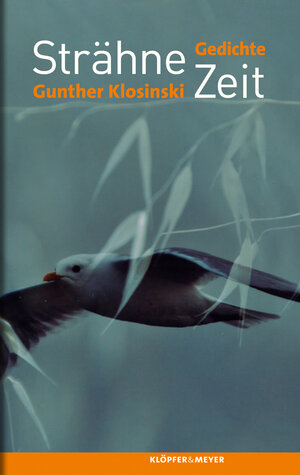 Buchcover Strähne Zeit | Gunther Klosinski | EAN 9783863510329 | ISBN 3-86351-032-1 | ISBN 978-3-86351-032-9