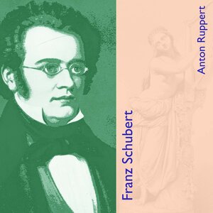 Buchcover Franz Schubert | Anton Ruppert | EAN 9783863522285 | ISBN 3-86352-228-1 | ISBN 978-3-86352-228-5