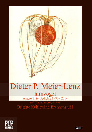 Buchcover hirnvogel | Dieter P. Meier-Lenz | EAN 9783863560898 | ISBN 3-86356-089-2 | ISBN 978-3-86356-089-8