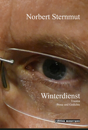 Buchcover Winterdienst | Norbert Sternmut | EAN 9783863562915 | ISBN 3-86356-291-7 | ISBN 978-3-86356-291-5