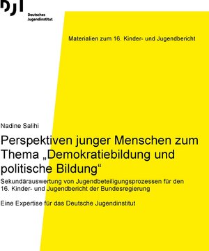 Buchcover Perspektiven junger Menschen zum Thema „Demokratiebildung und politische Bildung“ | Nadine Salihi | EAN 9783863793593 | ISBN 3-86379-359-5 | ISBN 978-3-86379-359-3