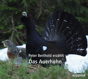 Buchcover Das Auerhuhn | Peter Berthold | EAN 9783863850128 | ISBN 3-86385-012-2 | ISBN 978-3-86385-012-8