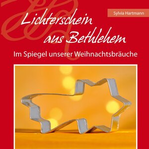 Buchcover Lichterschein aus Bethlehem | Sylvia Hartmann | EAN 9783863920265 | ISBN 3-86392-026-0 | ISBN 978-3-86392-026-5