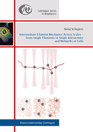 Buchcover Intermediate Filament Mechanics Across Scales – From Single Filaments to Single Interactions and Networks in Cells | Anna Veronika Schepers | EAN 9783863955670 | ISBN 3-86395-567-6 | ISBN 978-3-86395-567-0