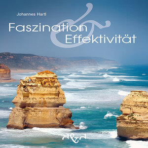 Buchcover Faszination & Effektivität | Johannes Hartl | EAN 9783864000119 | ISBN 3-86400-011-4 | ISBN 978-3-86400-011-9