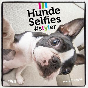 Buchcover Hunde-Selfies | Hansi Trompka | EAN 9783864137730 | ISBN 3-86413-773-X | ISBN 978-3-86413-773-0
