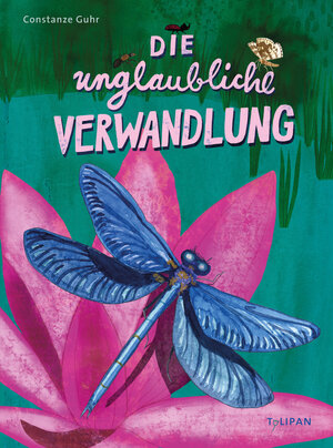 Buchcover Die unglaubliche Verwandlung | Constanze Guhr | EAN 9783864295379 | ISBN 3-86429-537-8 | ISBN 978-3-86429-537-9