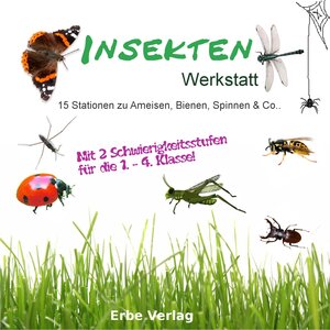 Buchcover Insekten Werkstatt | Linéa Sommer | EAN 9783864320095 | ISBN 3-86432-009-7 | ISBN 978-3-86432-009-5