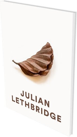 Buchcover Julian Lethbridge | Robert Storr | EAN 9783864422317 | ISBN 3-86442-231-0 | ISBN 978-3-86442-231-7