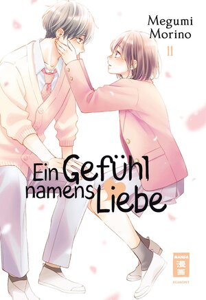 Buchcover Ein Gefühl namens Liebe 11 | Megumi Morino | EAN 9783864589263 | ISBN 3-86458-926-6 | ISBN 978-3-86458-926-3