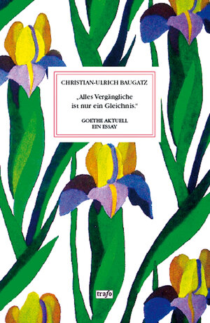 Buchcover "Alles Vergängliche ist nur ein Gleichnis" | Christian-Ulrich Baugatz | EAN 9783864650093 | ISBN 3-86465-009-7 | ISBN 978-3-86465-009-3