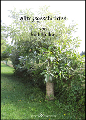 Buchcover Alltagsgeschichten | Rudi Koller | EAN 9783864687907 | ISBN 3-86468-790-X | ISBN 978-3-86468-790-7