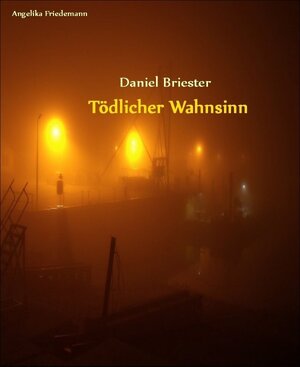 Buchcover Daniel Briester - Tödlicher Wahnsinn | Angelika Friedemann | EAN 9783864794247 | ISBN 3-86479-424-2 | ISBN 978-3-86479-424-7