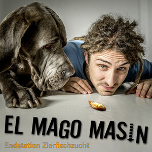 Buchcover Endstation Zierfischzucht (Download) | El Mago Masin | EAN 9783864840708 | ISBN 3-86484-070-8 | ISBN 978-3-86484-070-8