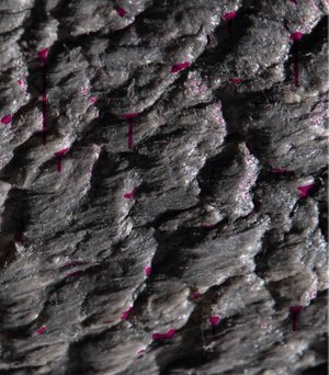 Buchcover Shellpunk | Jürgen Kleft | EAN 9783864851827 | ISBN 3-86485-182-3 | ISBN 978-3-86485-182-7