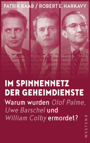 Buchcover Im Spinnennetz der Geheimdienste | Patrik Baab | EAN 9783864892509 | ISBN 3-86489-250-3 | ISBN 978-3-86489-250-9