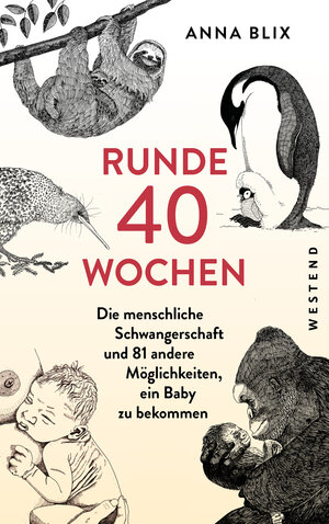 Buchcover Runde 40 Wochen | Anna Blix | EAN 9783864894398 | ISBN 3-86489-439-5 | ISBN 978-3-86489-439-8