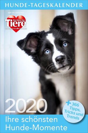 Buchcover Hunde-Tageskalender 2020  | EAN 9783865171412 | ISBN 3-86517-141-9 | ISBN 978-3-86517-141-2