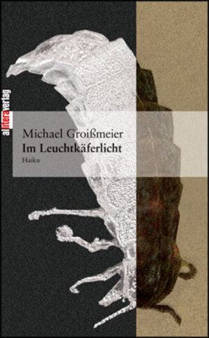 Buchcover Im Leuchtkäferlicht | Michael Groissmeier | EAN 9783865200808 | ISBN 3-86520-080-X | ISBN 978-3-86520-080-8