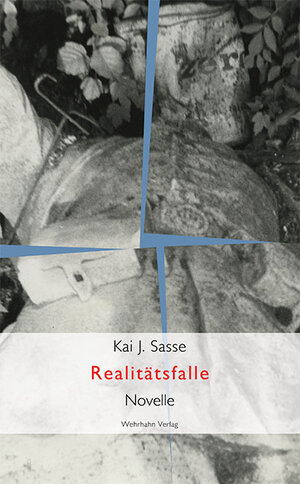 Buchcover Realitätsfalle | Kai J. Sasse | EAN 9783865253750 | ISBN 3-86525-375-X | ISBN 978-3-86525-375-0
