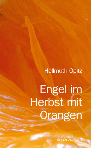 Buchcover Engel im Herbst mit Orangen | Hellmuth Opitz | EAN 9783865320476 | ISBN 3-86532-047-3 | ISBN 978-3-86532-047-6
