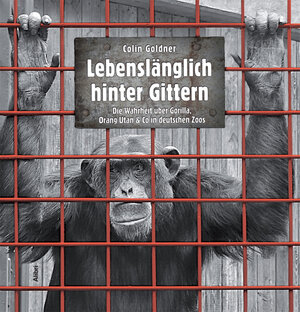 Buchcover Lebenslänglich hinter Gittern | Colin Goldner | EAN 9783865691125 | ISBN 3-86569-112-9 | ISBN 978-3-86569-112-5