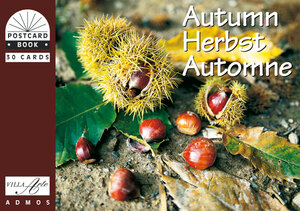 Buchcover Herbst /Autumn /Autumne  | EAN 9783865710451 | ISBN 3-86571-045-X | ISBN 978-3-86571-045-1