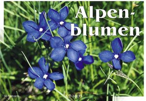 Buchcover Alpenblumen  | EAN 9783865710963 | ISBN 3-86571-096-4 | ISBN 978-3-86571-096-3