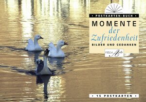 Buchcover Momente der Zufriedenheit  | EAN 9783865714015 | ISBN 3-86571-401-3 | ISBN 978-3-86571-401-5