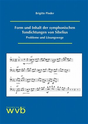 Form und Inhalt der symphonischen Tondichtungen von Sibelius: Probleme und Lösungswege