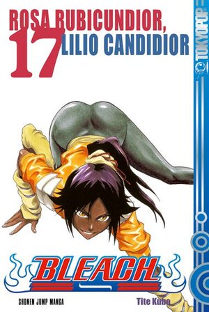 Buchcover Bleach 17 | Tite Kubo | EAN 9783865805775 | ISBN 3-86580-577-9 | ISBN 978-3-86580-577-5