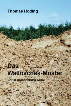 Buchcover Das Walloschek-Muster | Thomas Höding | EAN 9783865828316 | ISBN 3-86582-831-0 | ISBN 978-3-86582-831-6