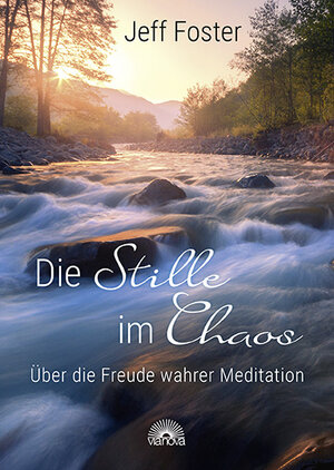 Buchcover Die Stille im Chaos | Jeff Foster | EAN 9783866165021 | ISBN 3-86616-502-1 | ISBN 978-3-86616-502-1