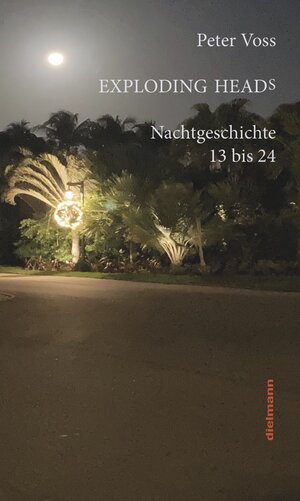 Buchcover Exploding Heads | Peter Voss | EAN 9783866384439 | ISBN 3-86638-443-2 | ISBN 978-3-86638-443-9