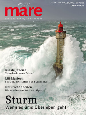 Buchcover mare - Die Zeitschrift der Meere / No. 130/ Sturm  | EAN 9783866484191 | ISBN 3-86648-419-4 | ISBN 978-3-86648-419-1